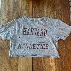 Gray Harvard Athletics Crop Top